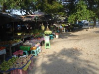 /album/dili-/a02-dili-2012-34-jpg/